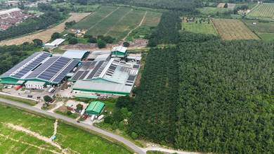 Pokok Sena Agriculture Land Road Side 3 Lots Zoning Industry