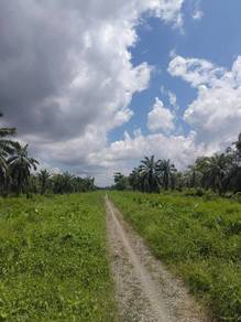 Asajaya Perpetuity Sadong First Lot  - Mixed Zone Land For Sale 🌳
