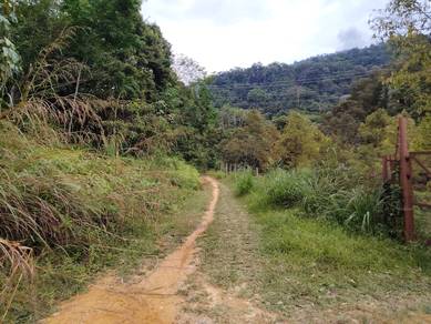Tanah Pertanian 3 ekar Kelumpang Hulu Selangor