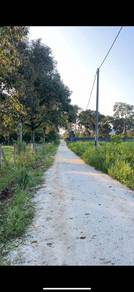 LOT BANGLO KAMPUNG PADANG KUANTAN Untuk Dijual