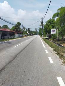 Flat Agricutural Land in Jalan Baru Balik Pulau Penang