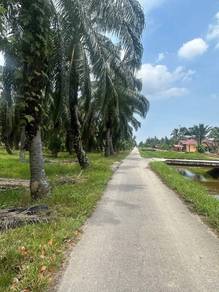 Agricultural-Land-for-sale-Bagan-Serai-Perak