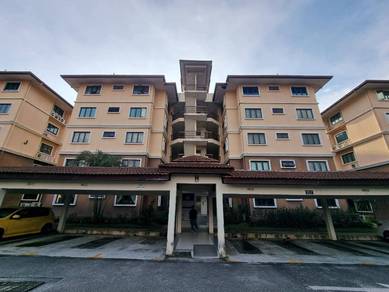 Larkin Residence (Phase One)