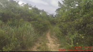 Agriculture Land Kg Lentang,Lipis 6.79 Ekar Freehold