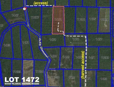 Agricultural-Land-for-sale-Bentong-Pahang-2