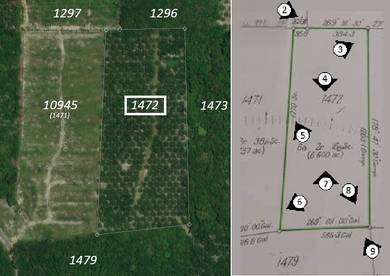 Agricultural-Land-for-sale-Bentong-Pahang-3