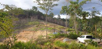 Agricultural-Land-for-sale-Kalumpang-Selangor