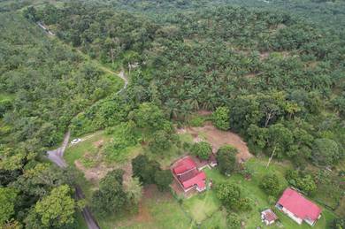 Agricultural-Land-for-sale-Rembau-Negeri-Sembilan