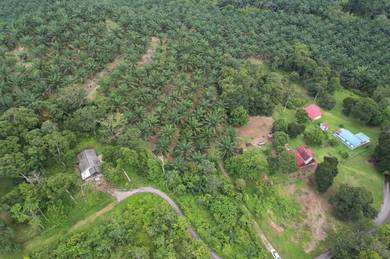 Agricultural-Land-for-sale-Rembau-Negeri-Sembilan-1