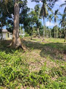 Agricultural-Land-for-sale-Pontian-Johor