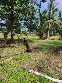 Agricultural-Land-for-sale-Pontian-Johor-2