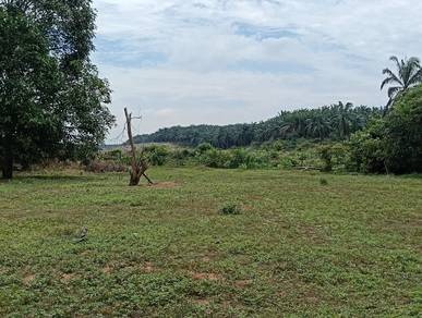 Agricultural-Land-for-sale-Linggi-Negeri-Sembilan
