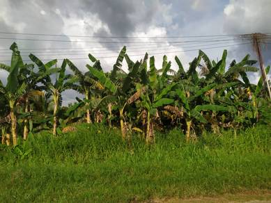 Tenom CL Roadside Land For Sale