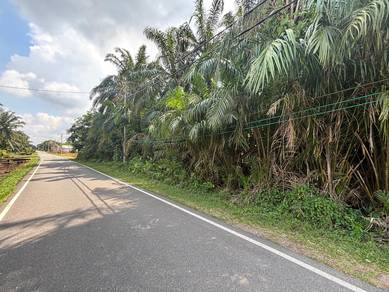 Agricultural Land Parit Semarang Parit Raja