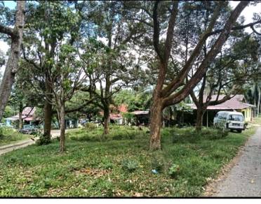 tanah dusun durian murah di melaka