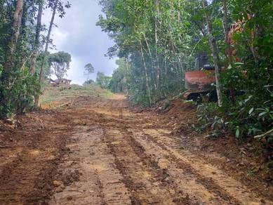 Agricultural-Land-for-sale-Kota-Kinabalu-Sabah