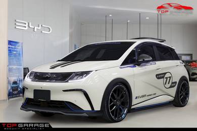 Byd Dolphin S-Sporty Bodykit W paint Body kit