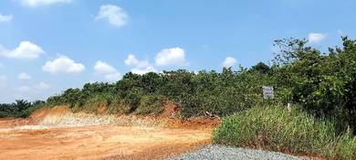 Tanah kosong higway segamat kuantan segamat johor