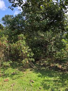 Tanah Kg Reka Jeli, Kelantan untuk diJual