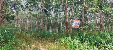 Agricultural-Land-for-sale-Selandar-Melaka