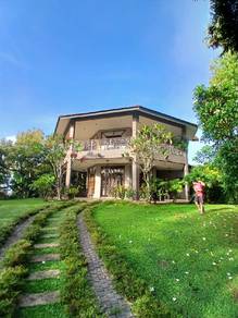 Musang King Estate