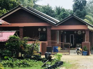 Bungalow-House-for-rent-Pasir-Puteh-Kelantan