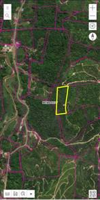 Agricultural-Land-for-sale-Membakut-Sabah-1