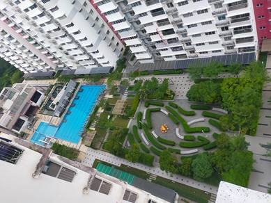 Koi Kinrara