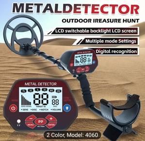 Metal Detector Treasure hunt