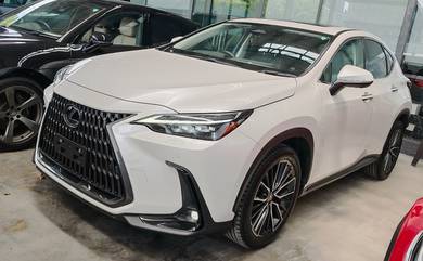 Lexus NX 250 2.5 LUXURY Japan Spec Unreg