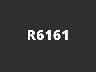 R6161