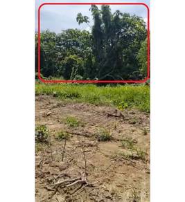 Tanah Pertanian Untuk Dijual