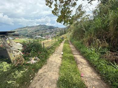 NT Land | 1.6 acre | Road Accessible | Kauluan | Kundasang | Ranau |