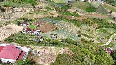 NT Land | 1.6 acre | Road Accessible | Kauluan | Kundasang | Ranau |