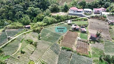 NT Land | 1.6 acre | Road Accessible | Kauluan | Kundasang | Ranau |
