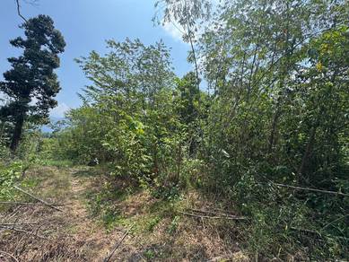 Tanah Freehold 3 Ekar di Lubuk Puteri, Sauk Lenggong Perak