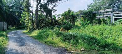 Agriculture Land Tanah Pertanian Sungai Kandis Klang Shah Alam