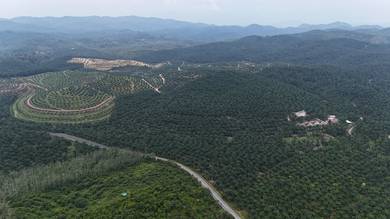 Agricultural-Land-for-sale-Tampin-Negeri-Sembilan