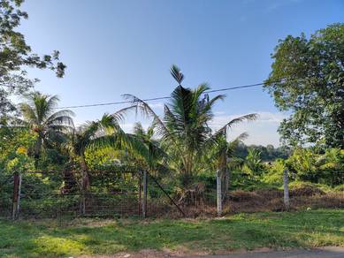 Freehold Non Bumi Land Kg Baru Linsum Rantau Seremban For Sale