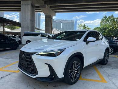 Lexus NX 250 2.5 LUXURY Red Interior Grade 5A