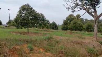 Agricultural-Land-for-sale-Kota-Tinggi-Johor-2