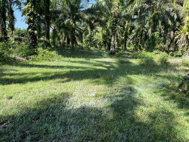 Agricultural-Land-for-sale-Kampar-Perak