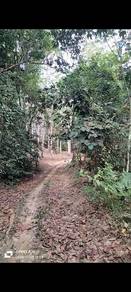 Agricultural-Land-for-sale-Kuala-Pilah-Negeri-Sembilan