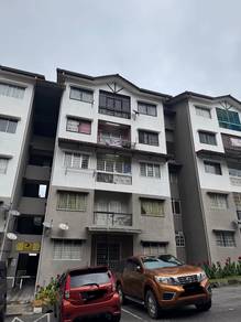 Taman Royal Lily