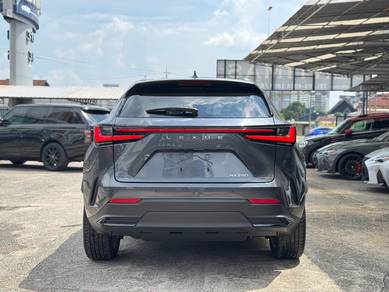 Lexus NX 250 2.5 Version L Grade 5AA Red Seat