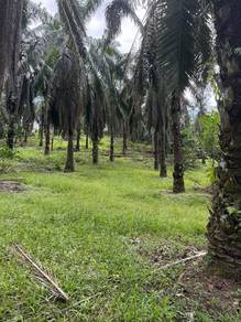 Agricultural-Land-for-sale-Simpang-Renggam-Johor-2