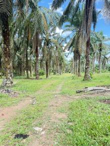 Agricultural-Land-for-sale-Simpang-Renggam-Johor-1