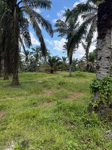 Agricultural-Land-for-sale-Simpang-Renggam-Johor