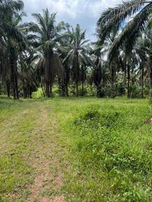 Agricultural-Land-for-sale-Simpang-Renggam-Johor-3
