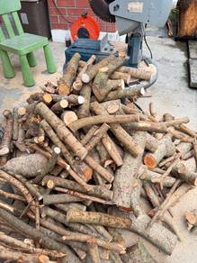 Kayu Api Camping (Jenis Kayu Rambutan)